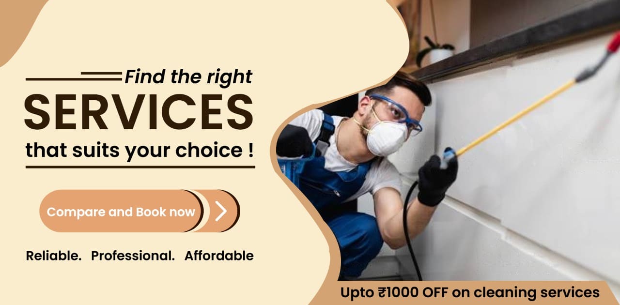 Offers on house cleaning services